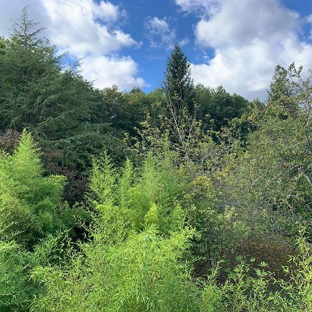شقة Seigy  في L'Albizia المظهر الخارجي الصورة